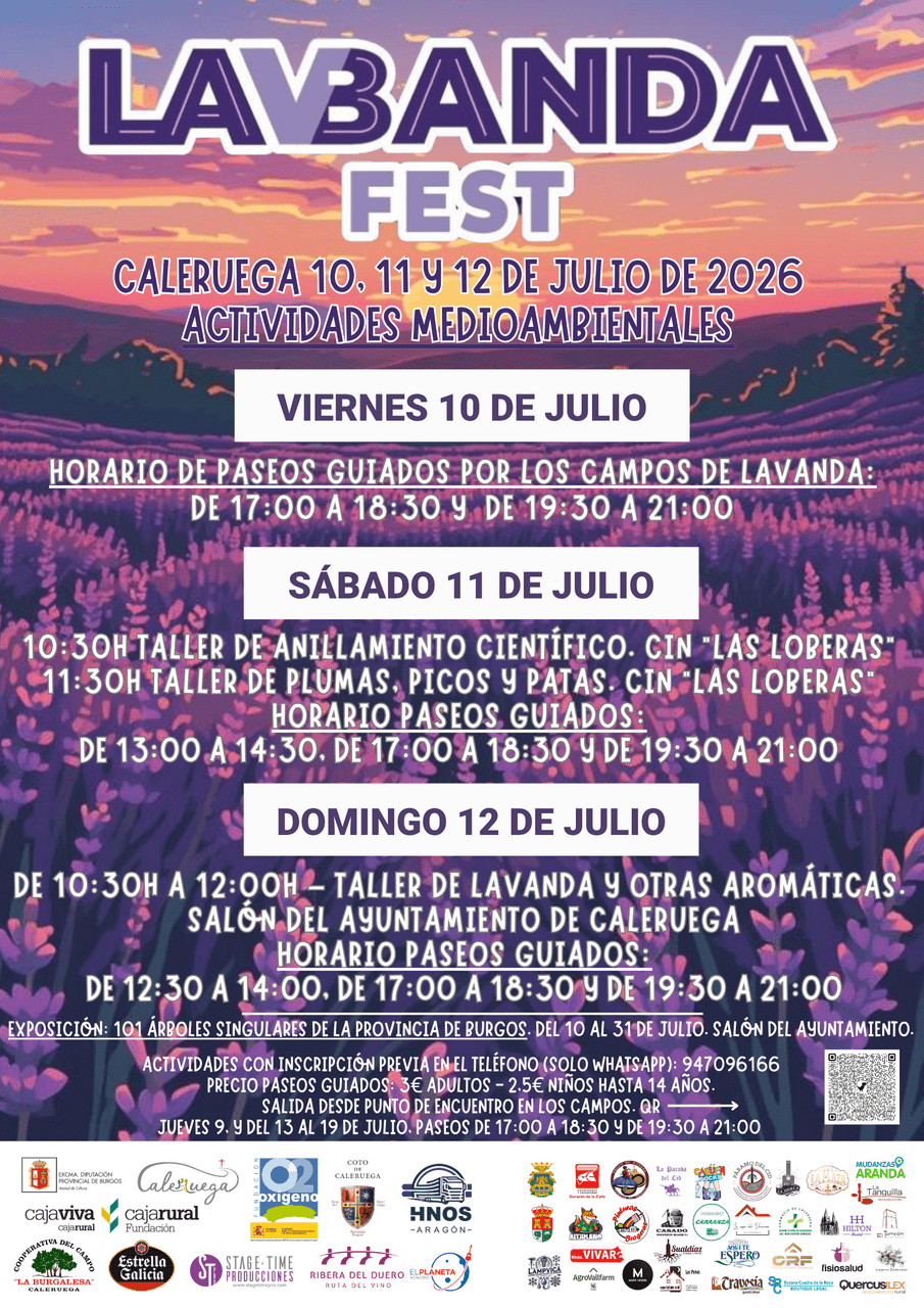 LAVANDAFEST 2026