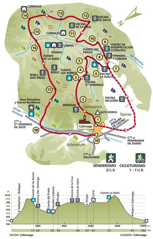 Ruta de las Loberas y Muladar observatorio de buitres.