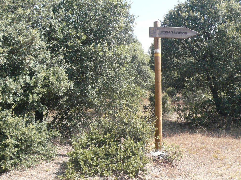 Ruta de las Loberas y Muladar observatorio de buitres.